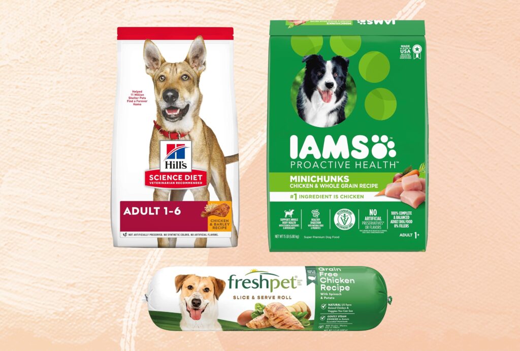 Organic Dog Food Brands: Top 10 Healthiest Choices for Your Pet