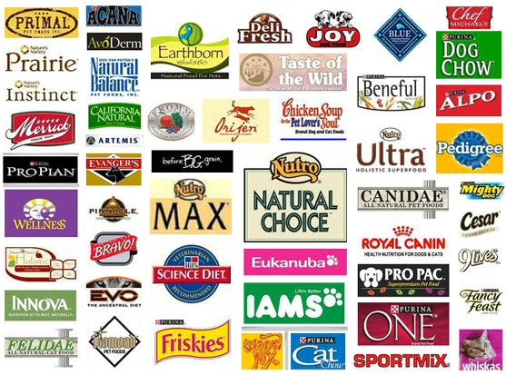 The Best Dry Dog Food Brands