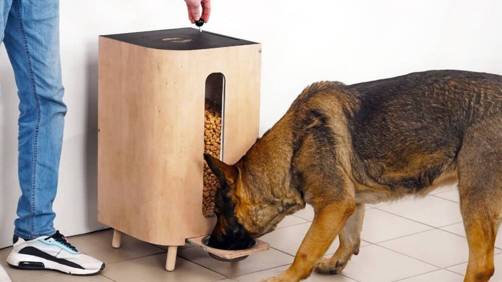 Dog Food Dispenser Essentials