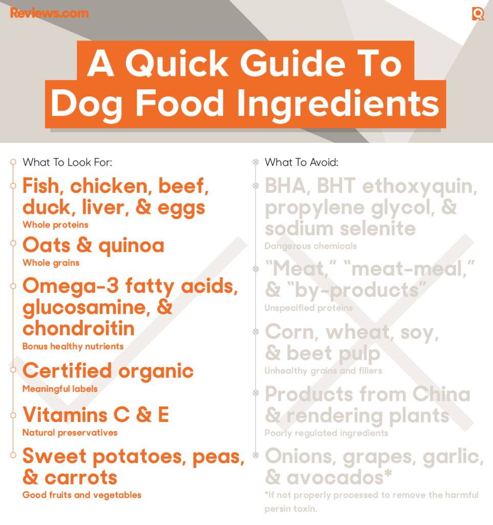 Best Ingredients for Dog Food