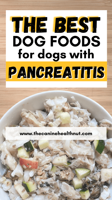 Best Wet Dog Food for Pancreatitis