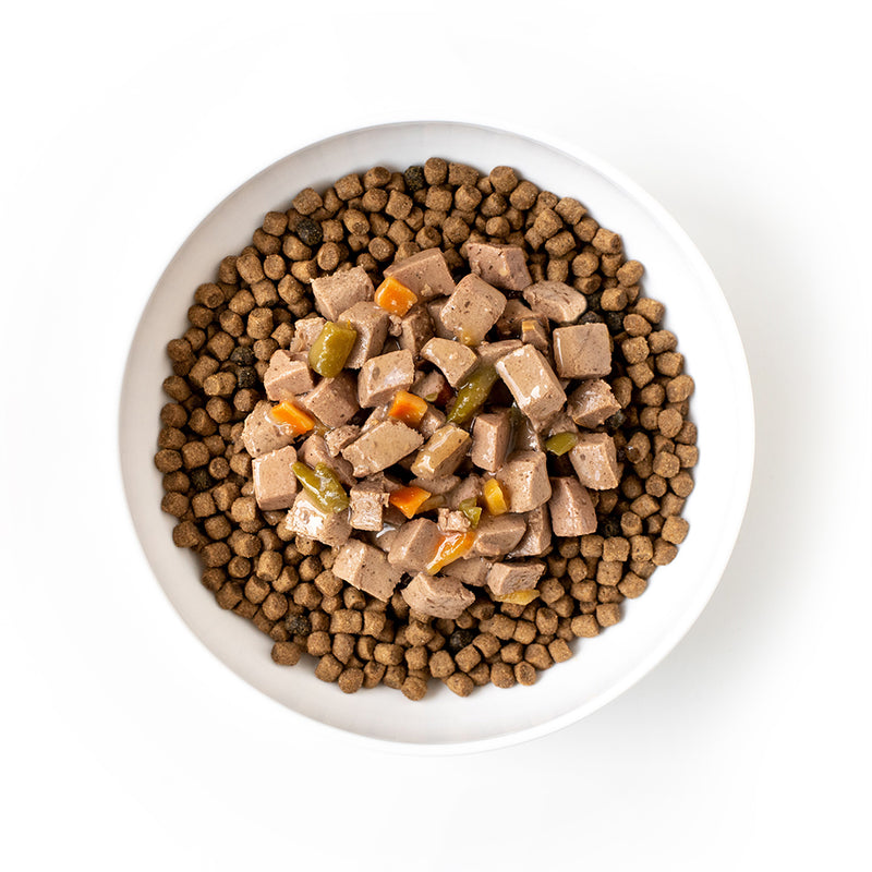 Best Wet Dog Food to Mix With Dry