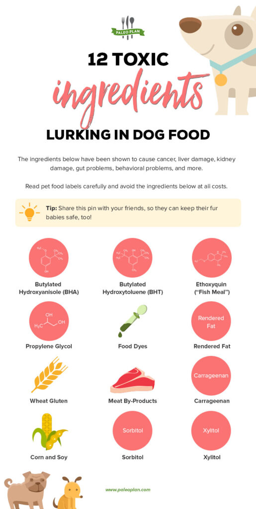 Harmful Ingredients in Dog Food