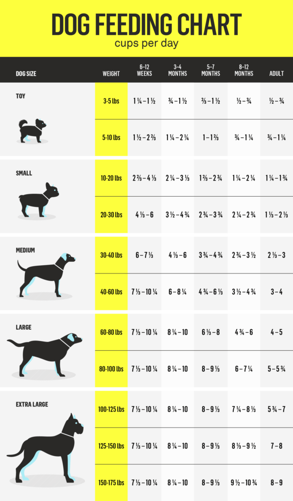 How Much Wet Dog Food Per Day