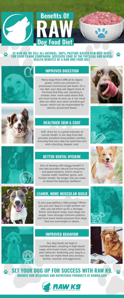 What are the Benefits of a Raw Food Diet for Dogs