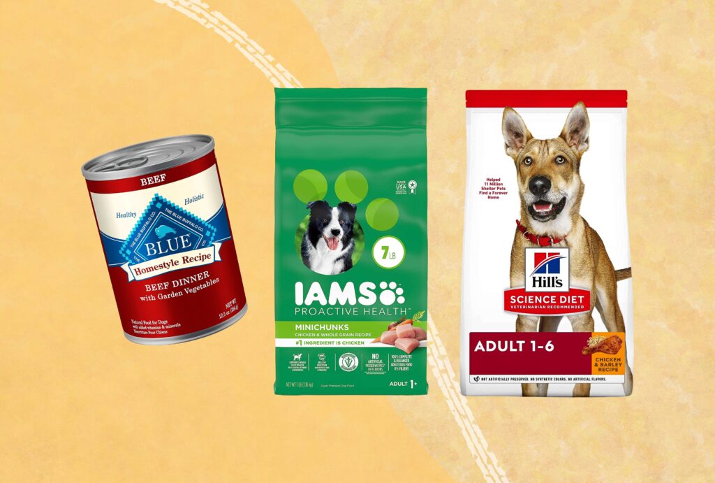 Which Brand is Best for Dog Food