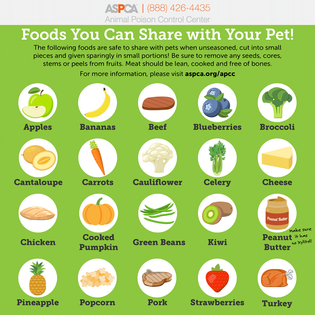 Dog Food Safe List