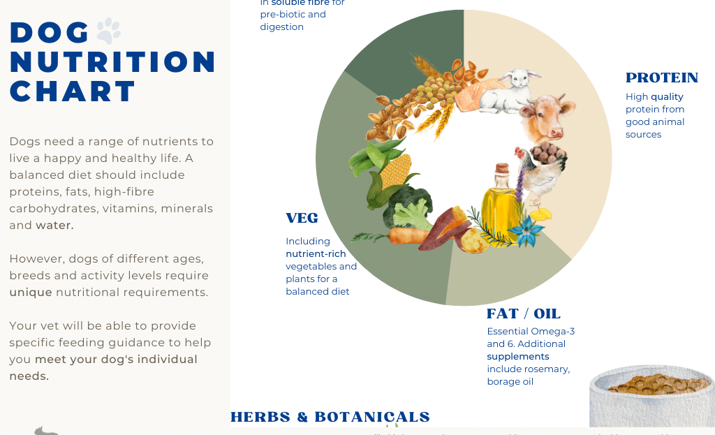 What are the Nutritional Requirements for a Dog