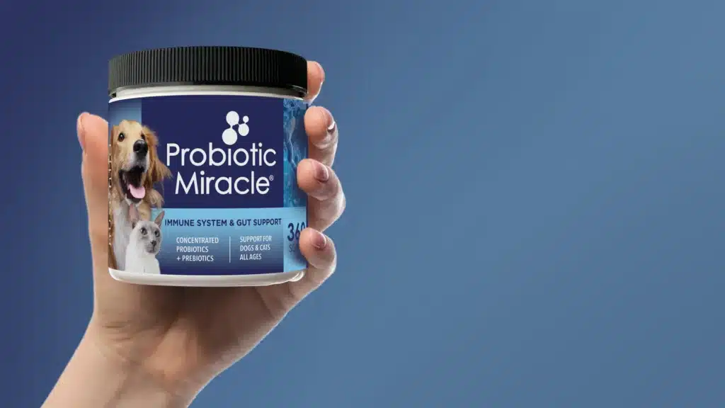 dog probiotics powder