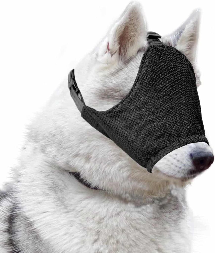 eye mask for dog